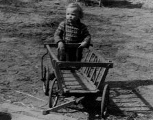 RonaldDa.jpg (13043 Byte)