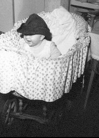 SteffenDa.jpg (17928 Byte)